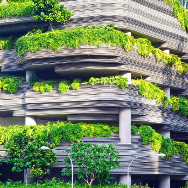 Green Architecture In The Age Of Climate Change